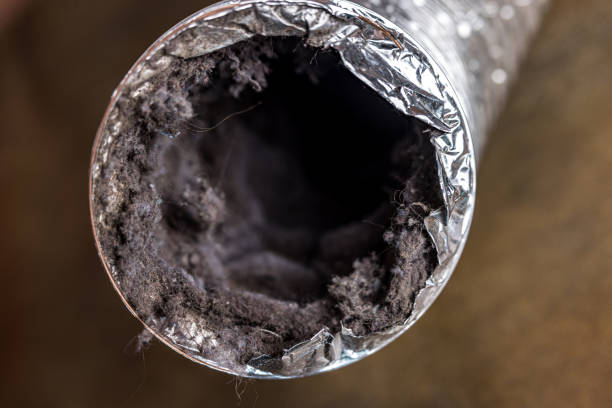 Best Air Duct Inspection  in New Town, ND